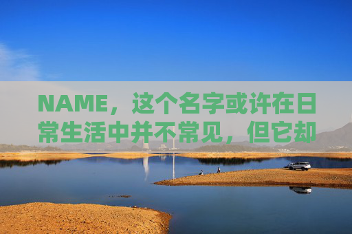 NAME，这个名字或许在日常生活中并不常见，但它却在某些领域里扮演着重要的角色。今天，让我们一起来探索这个名字背后的故事和意义