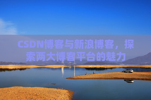 CSDN博客与新浪博客，探索两大博客平台的魅力